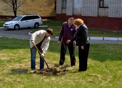 Actions “Clean Environment” and “Plant a Tree”